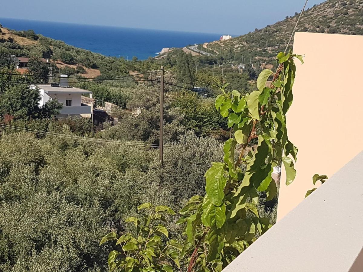 Sea Flower Villa Bali Crete Vlikhádha Exterior foto